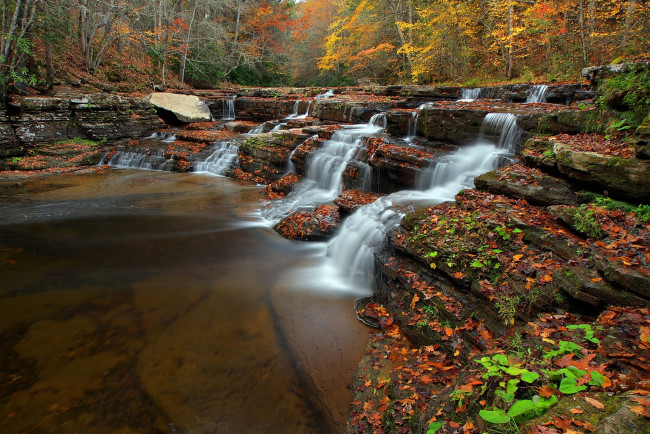 Обои картинки фото природа, водопады, потоки, вода, камни, осень, листья