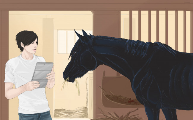 Обои картинки фото рисованные, животные,  лошади, мужчина, лошадь