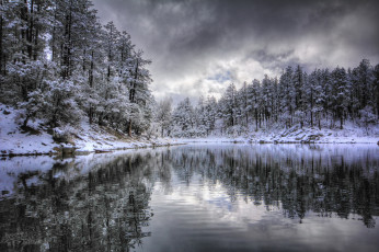 Картинка природа зима река лес снег