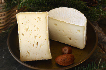 Картинка formatge+de+cabra+tendre еда сырные+изделия сыр