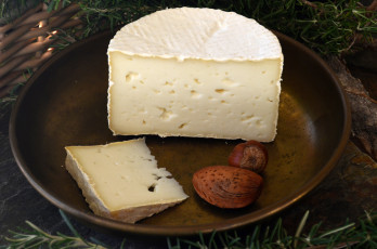 обоя formatge de cabra tendre, еда, сырные изделия, сыр