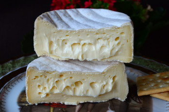 обоя fromager des clarines, еда, сырные изделия, сыр