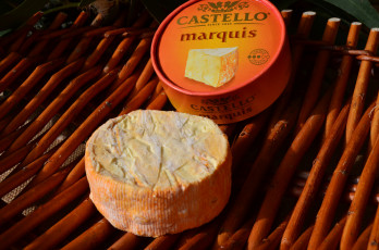 Картинка marquis еда салаты +закуски сыр