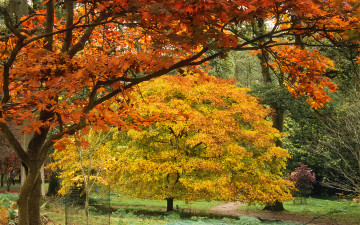 Картинка природа парк краски осень листва