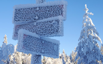 Картинка природа зима указатели иней деревья снег