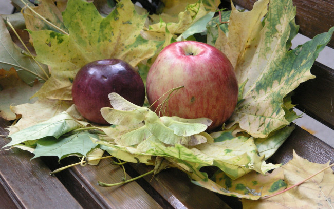 Обои картинки фото еда, Яблоки, листья