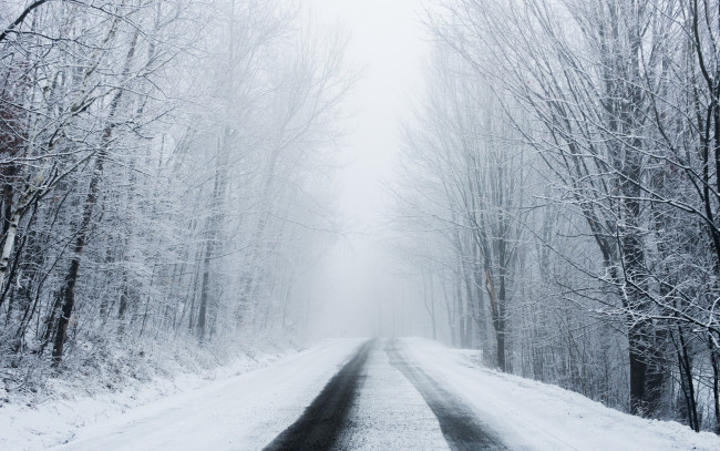 Обои картинки фото природа, дороги, лес, снег, зима