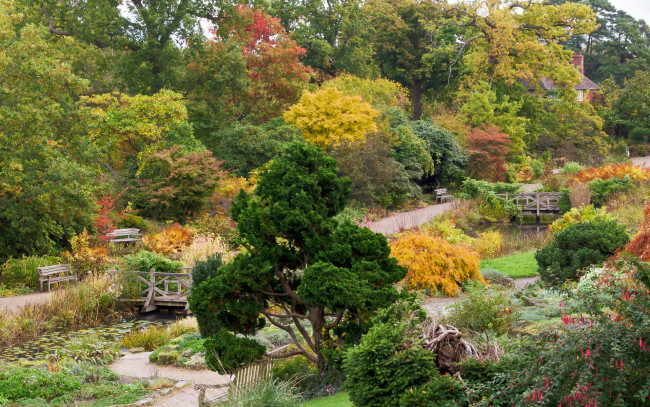 Обои картинки фото природа, парк, краски, осень, листва