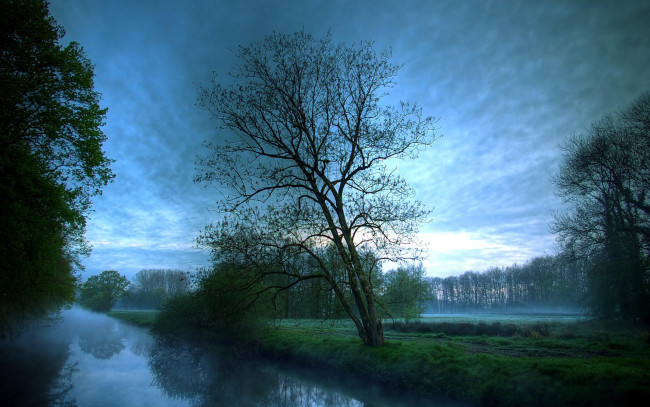 Обои картинки фото природа, реки, озера, ручей, деревья, туман, рассвет, утро