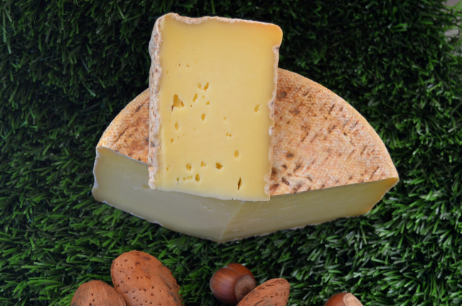 Обои картинки фото tommette des pyreenees, еда, сырные изделия, сыр