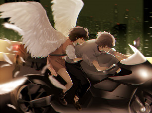 обоя аниме, zankyou no terror, город, пара, крылья, мотоцикл, ночь, скорость