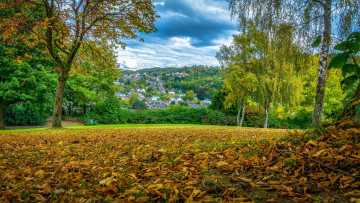 Картинка города -+пейзажи поляна осень деревья опавшие листья дома