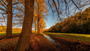 Картинка природа пейзажи канал канава осень деревья поле