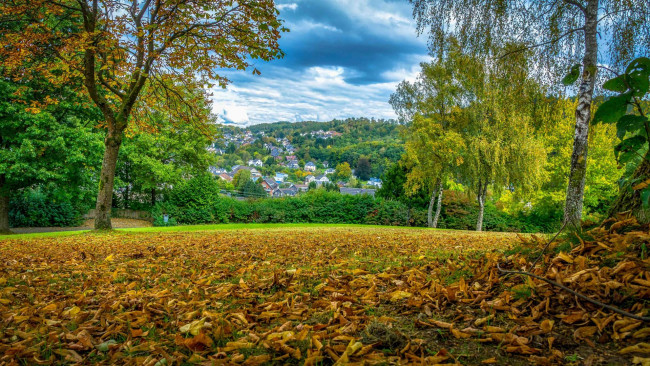 Обои картинки фото города, - пейзажи, поляна, осень, деревья, опавшие, листья, дома