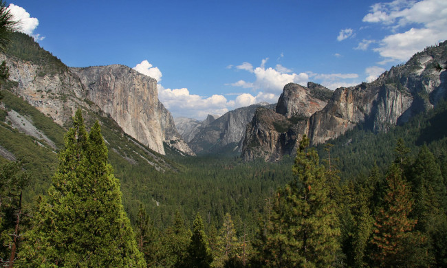 Обои картинки фото sequoia national park, природа, горы, скалы, sequoia, деревья, лес, park, national