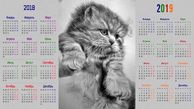 Обои картинки фото календари, рисованные,  векторная графика, кошка, взгляд