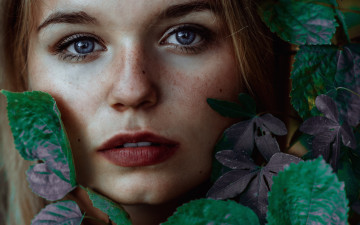 Картинка девушки -unsort+ лица +портреты лицо веснушки листья