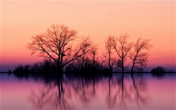 Картинка природа реки озера закат озеро кусты деревья
