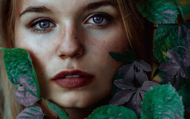 Обои картинки фото девушки, -unsort , лица,  портреты, лицо, веснушки, листья