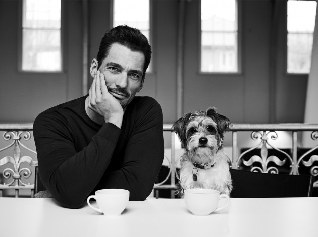 Обои картинки фото мужчины, david gandy, чашки, собака