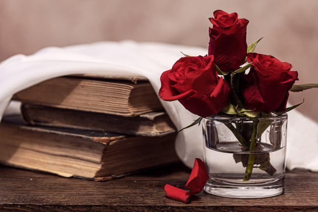 Обои картинки фото цветы, розы, книги, лепестки