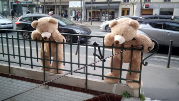 Картинка разное игрушки улица мост медведи автомобили