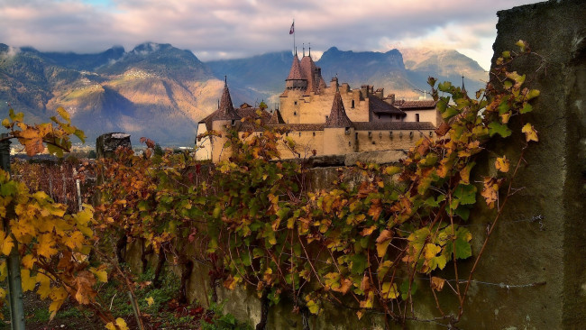 Обои картинки фото aigle castle, switzerland, города, замки швейцарии, aigle, castle