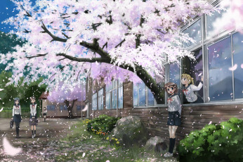 Картинка аниме *unknown другое девушки школа сакура листья