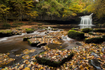 Картинка cauldron falls england природа водопады англия река осень листья камни лес деревья