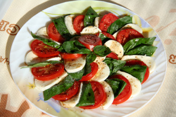 Картинка еда салаты закуски салат помидоры зелень сыр томаты