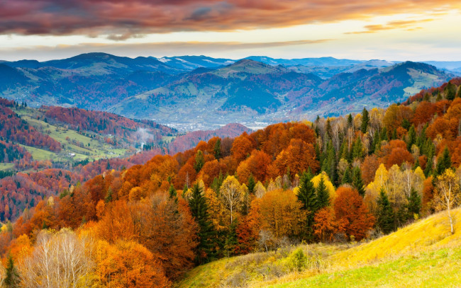 Обои картинки фото природа, горы, осень, лес, деревья, луга, тучи
