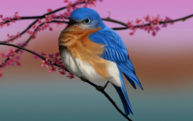 Обои картинки фото рисованное, животные,  птицы, ветки, птица, цветиение, весна