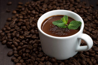 Картинка еда кофе +кофейные+зёрна мята зерна напиток