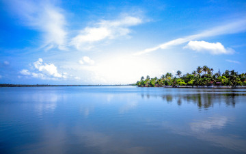 Картинка природа тропики море остров пальмы