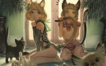 Картинка аниме animals котята девушки хвостики ушки