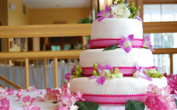 обоя еда, пирожные, кексы, печенье, орхидеи, торт, цветы