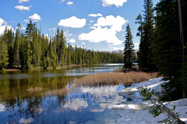Обои картинки фото природа, реки, озера, небо, отражение, облака, снег, деревья, лес