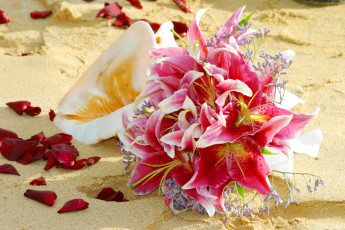 Картинка цветы букеты композиции лилии песок лепестки