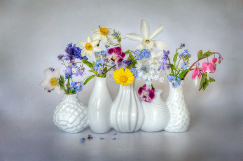 Картинка цветы разные вместе нарциссы незабудки анемон дицентра виола ваза