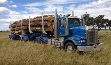 Картинка автомобили kenworth лесовоз тягач грузовик