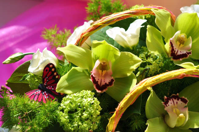 Обои картинки фото цветы, разные вместе, эустома, орхидеи