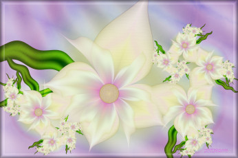 Картинка 3д+графика цветы+ flowers лепестки цвета узор фон