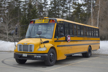 Картинка автомобили автобусы школьный автобус