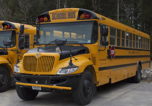 Обои картинки фото автомобили, автобусы, школьный, автобус