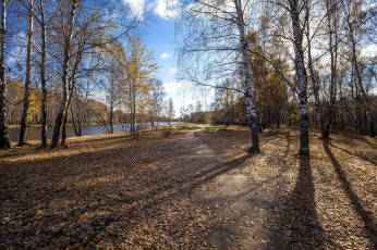 Картинка природа реки озера берег тени пейзаж река деревья осень