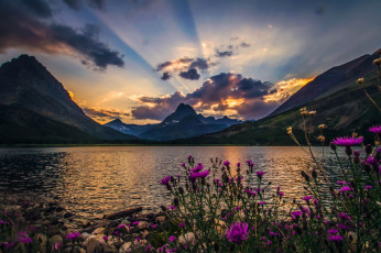 Картинка природа реки озера облака лучи цветы