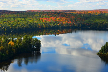 Картинка природа реки озера отражение озеро лес