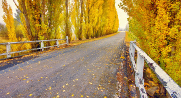 Картинка природа дороги дорога деревья осень