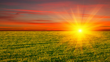 Картинка природа восходы закаты sun солнце рассвет облака небо свет поле травка