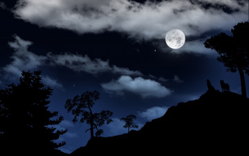 обоя космос, луна, волки, природа, облака, ночь, звёзды, лес